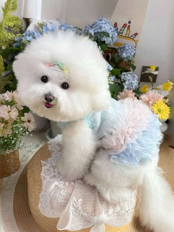 1 pezzo Elegante vestito da ballerina in tulle per cani, vestito da principessa senza maniche per outfit da festa romantico, adatto per cani piccoli, gatti, fresco in primavera/estate