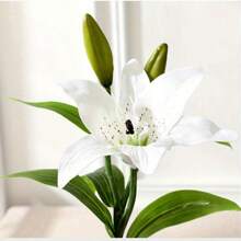 5 Stücke realistische weiße künstliche Lilien Blumen mit grünen Stielen, hohe Fidelität der Erscheinung, nicht verblassend, Frühlings- und Sommer-Blumendekoration, geeignet für Innen- und Außengarten, Hof, Party, Hochzeit, Wohnzimmer, Schlafzimmer, Festival, Geschenk, Heimdekoration, Fotografie-Requisiten