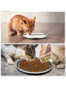 6.7" Stainless Steel Cat Food Bowl With Cute Paw Print Design, Suitable For Cat Whiskers, Shallow Food Dish For Indoor Kittens Feeding Dry And Wet Food, Anti-Whisker Fatigue - Multicolor - View 5