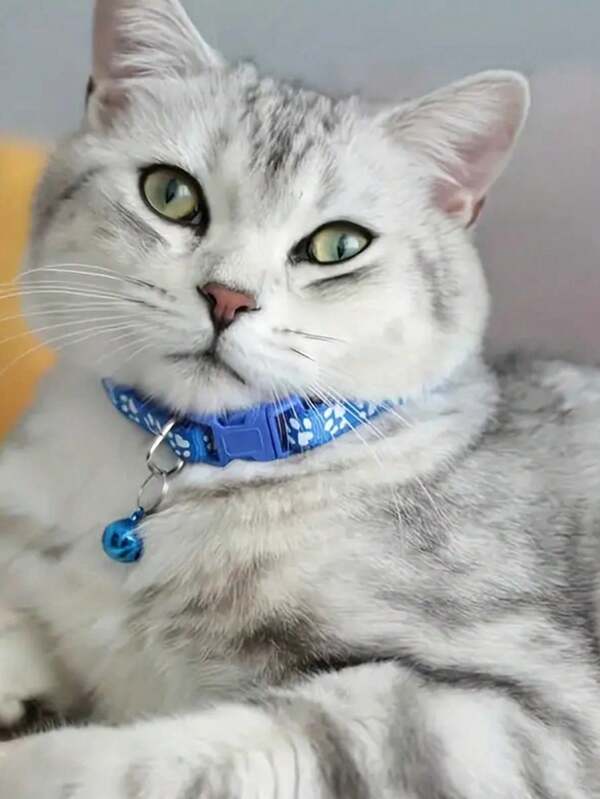 1pc Adjustable Pet Collar With Bell Dog Collar Single Footprint Paw Print Collar Cat Buckle Collar Pet Neck Strap Pet Supplies ﻿