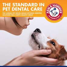 Arm & Hammer Pets Tartar Control Kit Dogs 3-Piece Kit Contains Toothpaste, Toothbrush & Fingerbrush Reduces Plaque & Tartar Buildup, Banana Mint Flavor - (Pack Of 48) - Vanilla Ginger - 查看 10