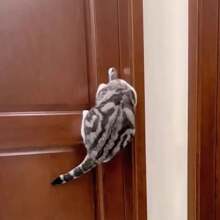 1 Stück multifunktionale Sicherheitsschlösser: Schutz für Kinder und Haustiere, ohne Bohren erforderlich, Türgriff-Schloss-Artefakt, Schulanfang, ABS Türgriff-Schloss Anti-Quetsch-Sicherheitsschutz-Schnalle, Halloween, Süßes oder Saures, 31. Oktober