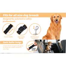 Cintura di sicurezza retrattile ed elastica per animali domestici, con assorbimento degli urti, guinzaglio regolabile in nylon per cani e gatti per veicoli