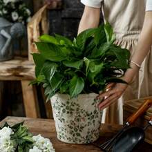 Duży rozmiar Vintage Nordic Style Hydroponic Planter Pot, Kreatywny rustykalny wystrój dla storczyków, Pothos, sukulentów