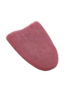 有趣的硅胶假舌头恶作剧道具 - 非常适合万圣节和派对恶作剧，可拉伸的假舌头，有趣的派对礼物，复活节愚人节礼物，恐怖和可怕的魔术道具，舞台恶作剧玩具，舞台道具，无需电池， - 紅色假舌頭 - 查看 7