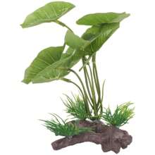 Plant For Fish Tank Lasting Widely-Used Decorative Aquarium Grass Freshwater Aquarium Plant Betta Fish Tank Plants Landscaping