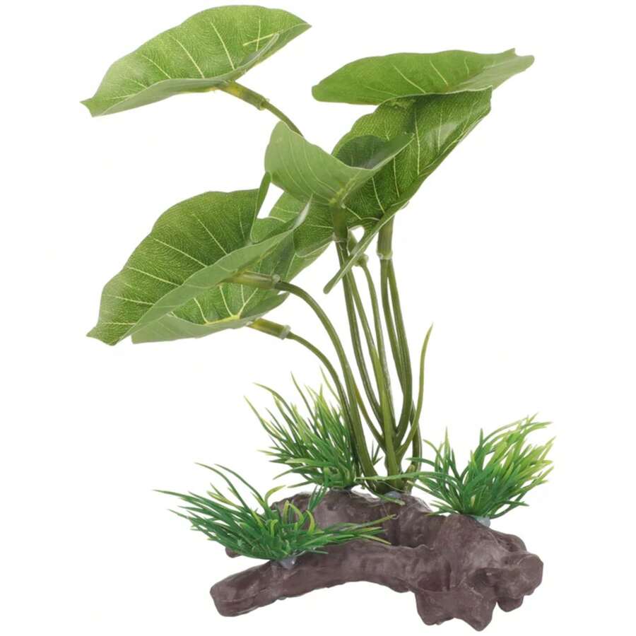 Plant For Fish Tank Lasting Widely-Used Decorative Aquarium Grass Freshwater Aquarium Plant Betta Fish Tank Plants Landscaping