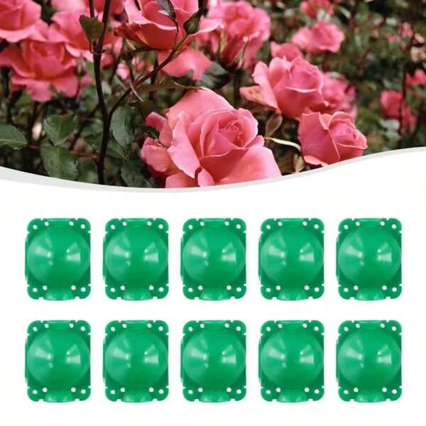 5pcs Plant Rooting Box, Grafting Box High Pressure Propagation Ball Plant Rooting Device (L+M+S, Green)