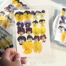 Un set de 100 de flori uscate, flori presate, flori de conservare pentru pachet de parfumuri DIY, recuzită foto pentru machiaj, umpluturi de rășină pentru unghii, semne de carte creative DIY, rame foto, confecționare de lumânări pentru aromaterapie, confecționare de săpun, huse de telefon, decor cu oglinzi etc. Decor creativ DIY pentru casă, cadouri de Ziua Îndrăgostiților, cadouri pentru petreceri, cadouri de ziua de naștere, cadouri de Anul Nou, cadouri de Crăciun. Flori uscate naturale. - Multicolor - Vizualizare 11