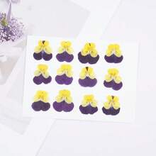 Un set de 100 de flori uscate, flori presate, flori de conservare pentru pachet de parfumuri DIY, recuzită foto pentru machiaj, umpluturi de rășină pentru unghii, semne de carte creative DIY, rame foto, confecționare de lumânări pentru aromaterapie, confecționare de săpun, huse de telefon, decor cu oglinzi etc. Decor creativ DIY pentru casă, cadouri de Ziua Îndrăgostiților, cadouri pentru petreceri, cadouri de ziua de naștere, cadouri de Anul Nou, cadouri de Crăciun. Flori uscate naturale. - Multicolor - Vizualizare 5