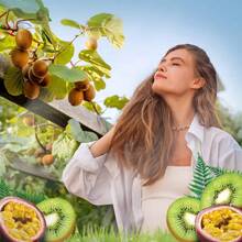 Air Wick Vibrant Scented Oil Air Freshener Refills - Rainforest Kiwi & Passion Fruit - 0.67 Fl Oz/2ct - 1 - View 2