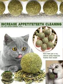 1 个带旋转功能的猫薄荷球，用于磨牙和清洁，猫薄荷球墙壁粘蟹猫玩具，适合宠物猫玩耍和缓解无聊猫咀嚼玩具与消化促进剂猫薄荷球，粘性猫玩具，磨牙棒，宠物产品绿色 - 綠色 - 查看 11