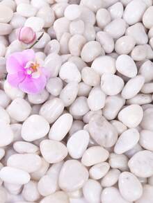 /500/1000g Colorful Pebbles Suitable For Home And Garden Decoration -2-3 Centimeters, Multi-Color Stones (White, Black, Multicolored, Yellow) Suitable For Indoor Plants, Outdoor Landscapes, And Holiday Decorations - Very Suitable For Vases