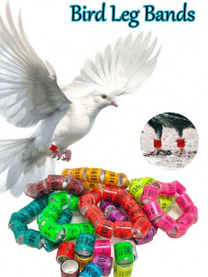 20pcs Bird Leg Bands With Numbers, Pigeon Leg Ring, Parrot Leg Ring, Unique Numbered Identification Rings And Easy-To-Read Color Coding, Pigeon Outdoor Training Sign Ring Bird Accessory