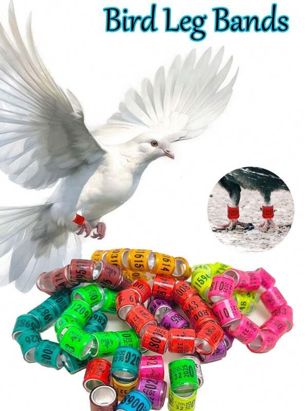 20pcs Bird Leg Bands With Numbers, Pigeon Leg Ring, Parrot Leg Ring, Unique Numbered Identification Rings And Easy-To-Read Color Coding, Pigeon Outdoor Training Sign Ring Bird Accessory
