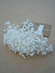 50/100/300 件天然保鲜干满天星花 - 优雅永恒的满天星，适合家庭、办公室、婚礼、圣诞节、万圣节派对、DIY 工艺品免维护，适合 14 岁及以上人群（无纸卡） - 純白滿天星 - 查看 10