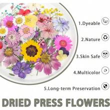 50Pcs Dried Pressed Flowers Resin Mould Real Pressed Flowers Natural Dry Leaves Bulk Mixed Colorful Daisy Herbs Kit With Tweezers Scrapbooking Candle Jewelry Crafts Making Nails(Purple)