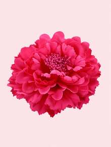 New Peony Flower Hair Clip, Brooch For Chest, Beach, Party, Festival, Photography, Dancer - Multicolor - View 15