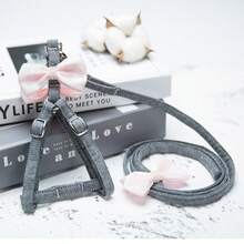 PINCOOL 1 conjunto de arnês e guia para animais de estimação, P/M/G, guia de caminhada de 1,2 m, fofa e adequada para cães e gatos pequenos - Cinza - Ver 1