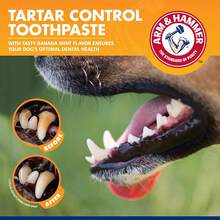 Arm & Hammer Pets Tartar Control Kit Dogs 3-Piece Kit Contains Toothpaste, Toothbrush & Fingerbrush Reduces Plaque & Tartar Buildup, Banana Mint Flavor - (Pack Of 48) - Vanilla Ginger - 查看 9