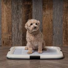 Pet Storage, White Puppy Pee Pad Holder For Dog Potty Training, Holds Pads 23" L X 22.75" W X 1.37" H, Blue