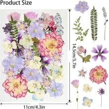 50Pcs Dried Pressed Flowers Resin Mould Real Pressed Flowers Natural Dry Leaves Bulk Mixed Colorful Daisy Herbs Kit With Tweezers Scrapbooking Candle Jewelry Crafts Making Nails(Purple)