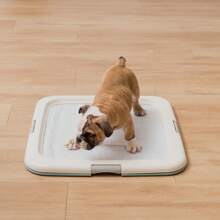 Pet Storage, White Puppy Pee Pad Holder For Dog Potty Training, Holds Pads 23" L X 22.75" W X 1.37" H, Blue