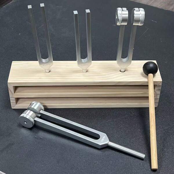 Ear Cleaning Professional Tuning Forks Therapy Set - 128Hz, 512Hz, 432Hz, 256Hz Yoga And Meditation Body-Weight Tuning Forks - Frequency Relaxation Device With Suspension Frame