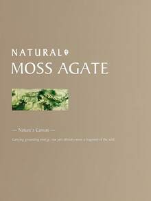 1 件 925 纯银苔藓玛瑙榄尖形平背软骨耳轮穿孔精美珠宝适合日常佩戴婚礼派对订婚周年纪念情人节 - 金色 - 查看 5