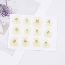 Un set de 100 de flori uscate, flori presate, flori de conservare pentru pachet de parfumuri DIY, recuzită foto pentru machiaj, umpluturi de rășină pentru unghii, semne de carte creative DIY, rame foto, confecționare de lumânări pentru aromaterapie, confecționare de săpun, huse de telefon, decor cu oglinzi etc. Decor creativ DIY pentru casă, cadouri de Ziua Îndrăgostiților, cadouri pentru petreceri, cadouri de ziua de naștere, cadouri de Anul Nou, cadouri de Crăciun. Flori uscate naturale. - Multicolor - Vizualizare 7