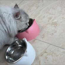 1pc 15° Tilted Stainless Steel Bowl With Cute Cat Ear Design