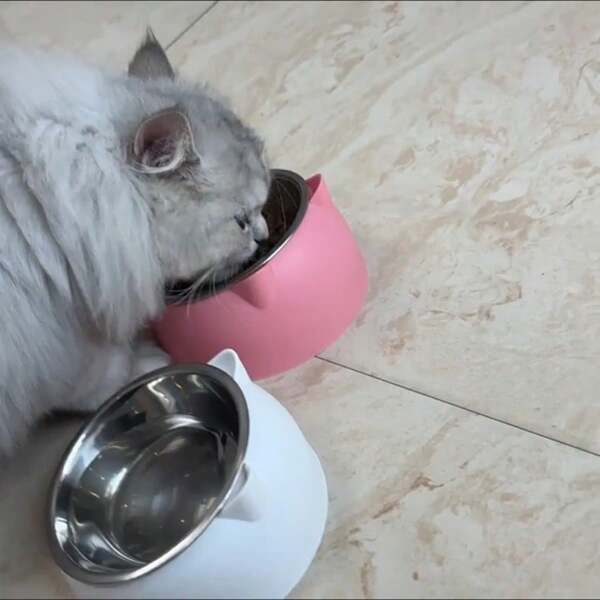 1pc 15° Tilted Stainless Steel Bowl With Cute Cat Ear Design