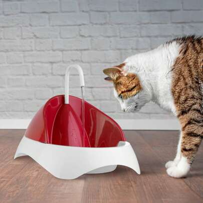 Bebedouro Para Gato Fonte De Água Para Gatos 1,5 Litros Bivolt