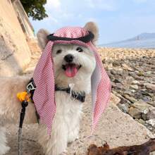 1pc Pet Hat Bandana Party Decoration Funny Costume Suitable For Party Role Playing Get-Together Photoshoot Cute Cat Hat Pet Decoration Pet Supplies Accessories Suitable For Medium Cats Small Rabbits And Small Dogs Not Suitable For Over 33Ibs