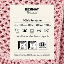 Bernat Blanket Yarn, Gathering Moss (Pack Of 2) - DRIED FLOWERS - View 8