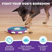 Outward Hound By Nina Ottosson Dog Brick Treat Puzzle Enrichment Toy, Level 2 Intermediate Game, Blue - Dog Twister (Purple, Blue) - 查看 2