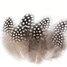 50 件斑点羽毛，4-7 厘米/1-3 英寸，天然羽毛，适用于 DIY 婚礼装饰、斑点珍珠鸡羽毛、猫玩具、DIY 珠宝配饰 - 彩色 - 查看 10