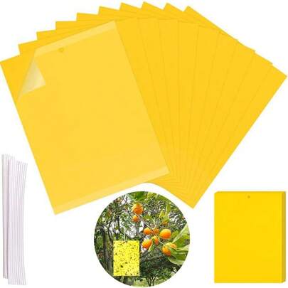 100 pièges à insectes jaunes, pièges collants double face, piège à mouches des fruits avec planche suspendue jaune pour le contrôle des insectes, 15 x 20 cm