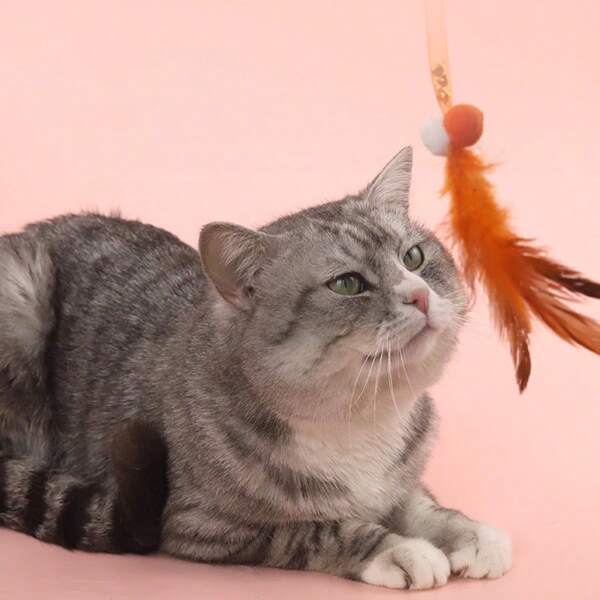 2 Peças Brinquedo de Pena de Gato com Malha Elástica, Brinquedo de Provocação com Mordida Automática para Gatos e Filhotes, Suprimentos para Animais de Estimação