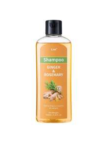 Champú y acondicionador de esencia de jengibre y romero, extracto de plantas para nutrir el cabelludo, control del aceite, cabello esponjoso y voluminoso, con extractos de jengibre, romero y panax, adecuado para todo tipo de cabello, suave y no irritante