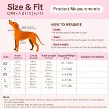 Lightweight Summer 4-Leg Breathable Fresh Sphynx Hairless Cat Clothes, Prevent Scratching Full Body Coverage