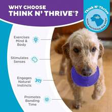 Outward Hound By Planet Dog Snoop Durable Interactive Treat Dispensing Dog Toy, Large, Blue - Màu tím - Xem 7