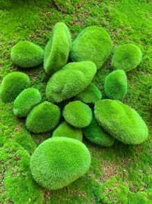 Simulation Moss Stone Simulation Moss Stone Shooting Props Landscaping Decoration Ornaments Micro Landscape Layout Wall Setting,Fake Plants