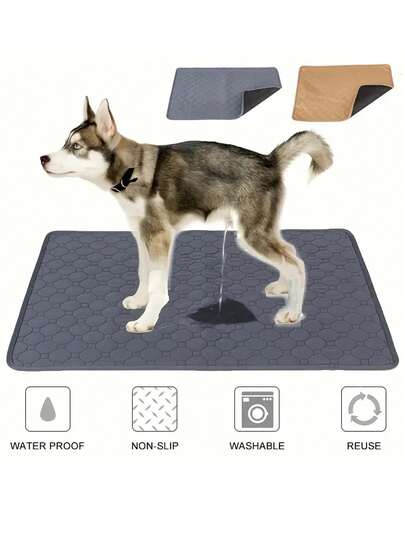 可洗狗垫，可重复使用小型犬垫，防滑地毯，大型犬垫，吸水防漏训练垫，适用于宠物、狗舍、游戏围栏、床、沙发