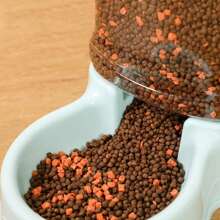 Pet Automatic Feeder Cat Drinking Water Bowl Cat Bowl Dog Bowl Large Capacity Combination Grain Storage Barrel Pet Supplies