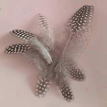 50 件斑点羽毛，4-7 厘米/1-3 英寸，天然羽毛，适用于 DIY 婚礼装饰、斑点珍珠鸡羽毛、猫玩具、DIY 珠宝配饰 - 彩色 - 查看 9