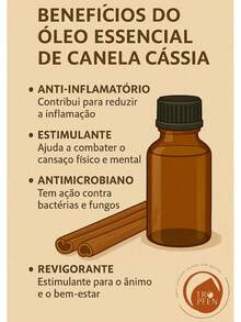 Óleo Essencial Canela Cassia Puro p/ Aromaterapia Difusor Elétrico Umidificador - 10 mL - 10 mL - Visão 2