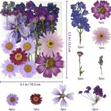 35-43 pezzi di fiori secchi e pressati naturali in kit fai-da-te per resina epossidica, stampi per gioielli in resina epossidica, candele, saponi, decorazioni per unghie, segnalibri. Materiali naturali a base di foglie vere - realizzati con fogliame reale stagionale, specificamente disidratati, pressati e asciugati per preservarne l'originalità. Stile naturale, adatto a qualsiasi lavorazione fai-da-te.
