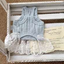 Frühlings- und Sommer-Spitze-Prinzessin Trägertop-Kleid für kleine Hunde, sortierte Stofftexturen, Hunde/Katzen Kleidung