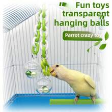 1 Peça Brinquedo de Papagaio, Gaiola de Roer e Brincar, Peça Suspensa, Bola Suspensa de Acrílico Transparente, Brinquedo de Pássaro, Suprimentos de Papagaio